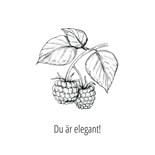 Du är elegant!
